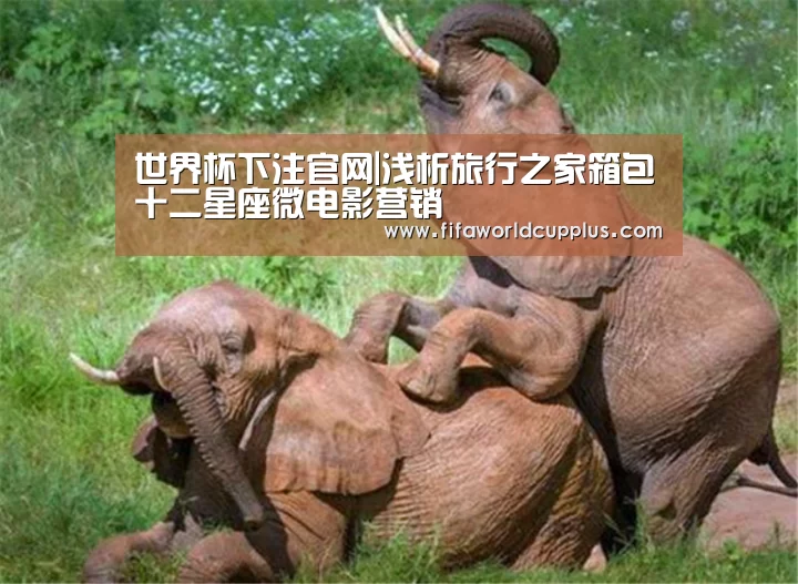 世界杯下注官网|浅析旅行之家箱包十二星座微电影营销(图3) 世界杯下注官网